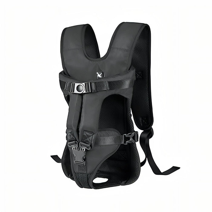 Dog Gear
