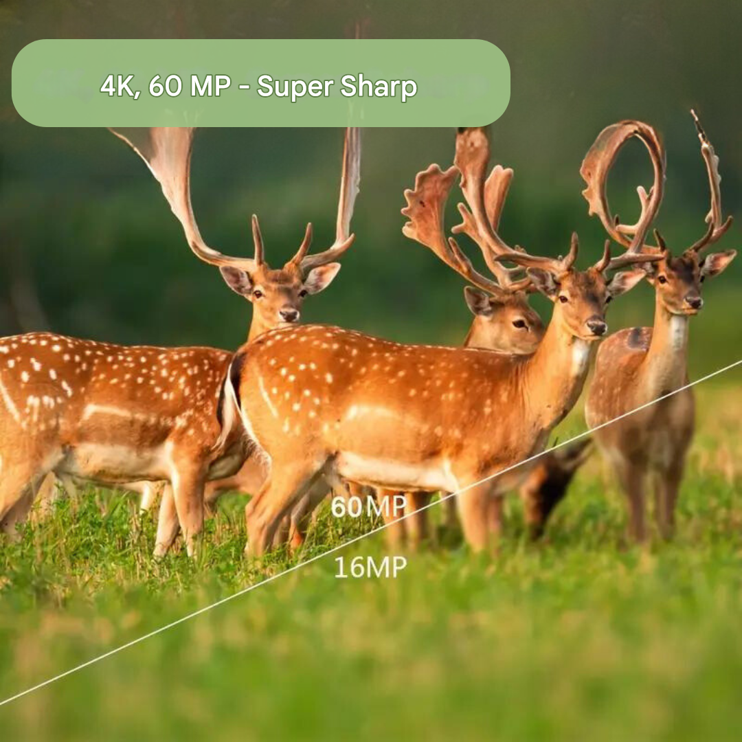 4K Trail Camera 60MP Wildlife Camera Waterproof Motion Activated