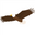 Greatlakes Outdoor logo