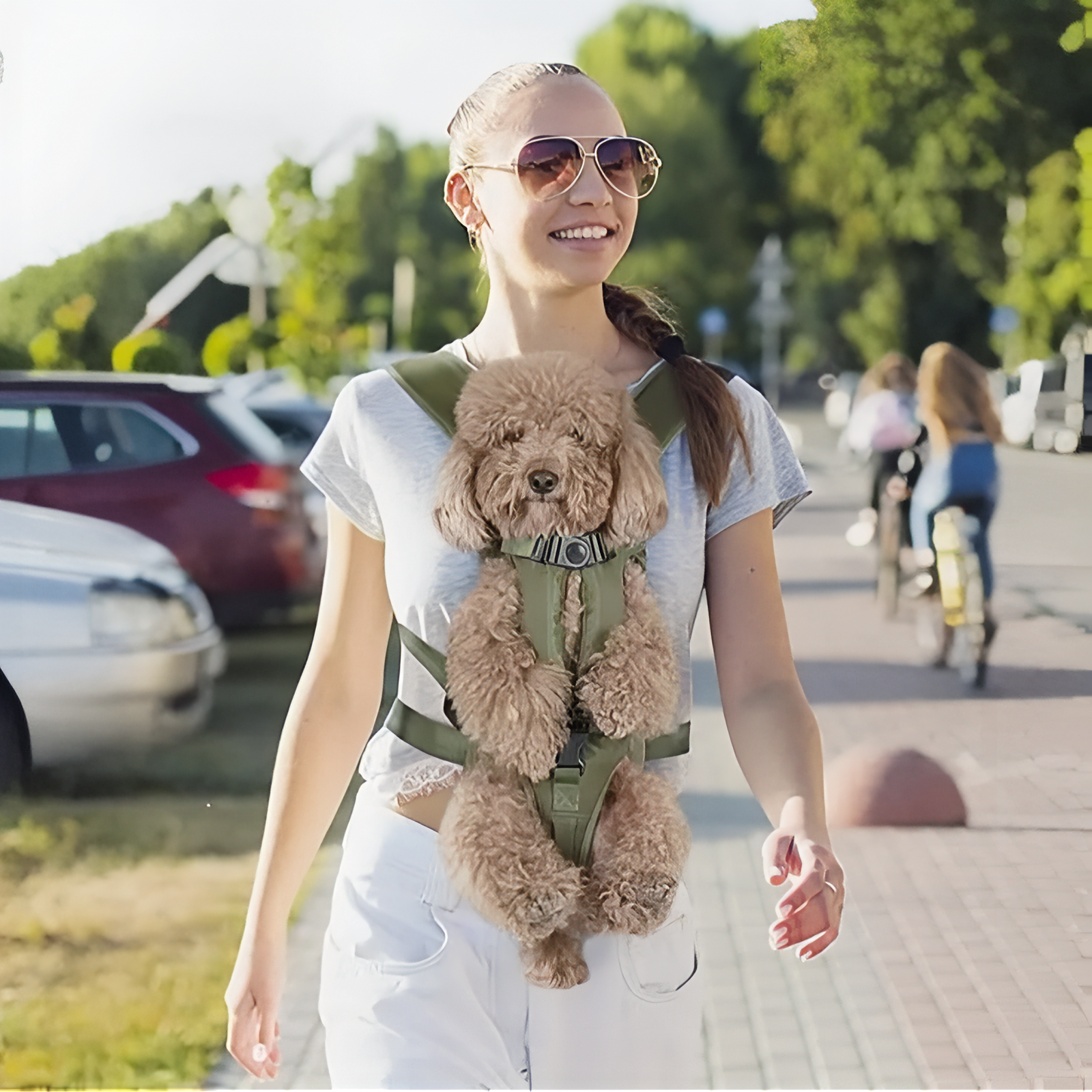 Dog Carrier Front Pack Ergonomic Hiking Harness for Small Pets