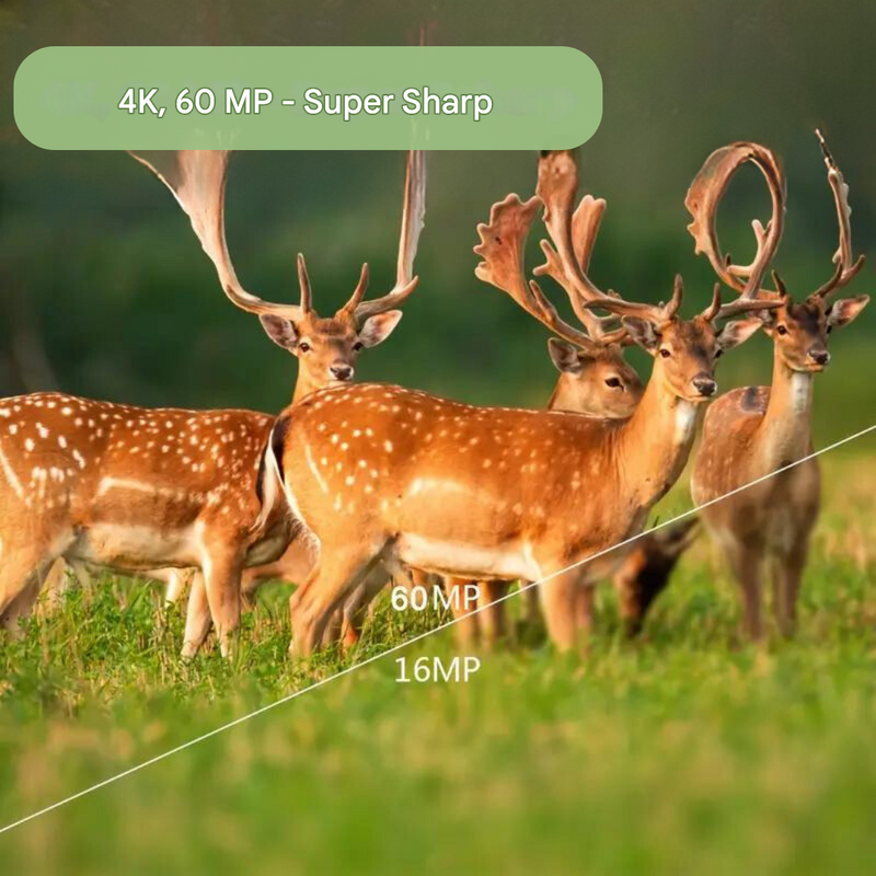 4K Trail Camera 60MP Wildlife Camera Waterproof Motion Activated – product view 4 | Great Lakes Outdoor