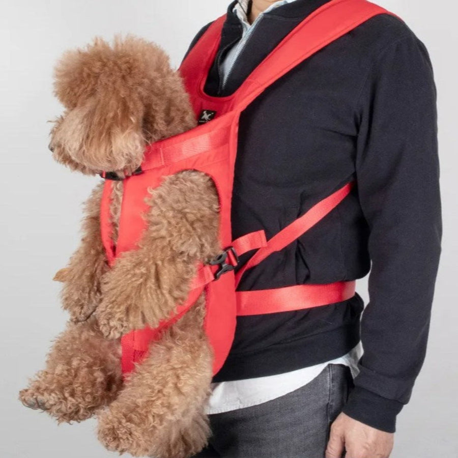 Dog Carrier Front Pack Ergonomic Hiking Harness for Small Pets – product view 12 | Great Lakes Outdoor