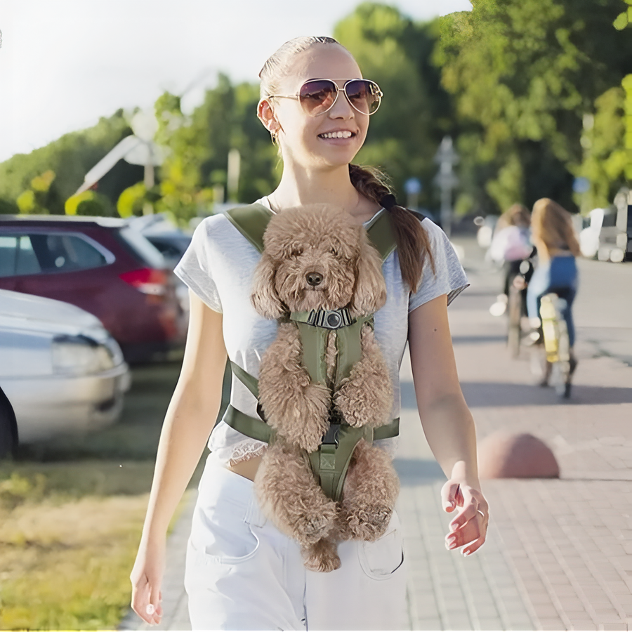Dog Carrier Front Pack Ergonomic Hiking Harness for Small Pets – product view 15 | Great Lakes Outdoor