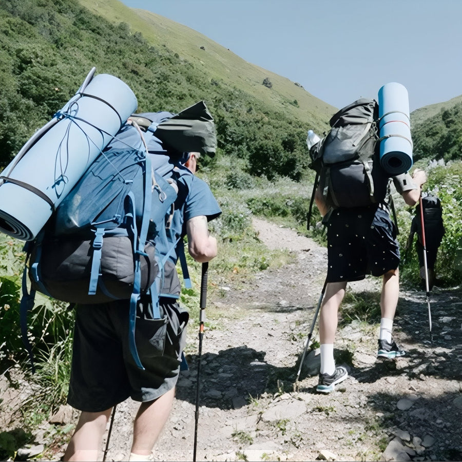 Telescopic Aluminum Nordic Walking Poles Adjustable Hiking Trekking Sticks – product view 2 | Great Lakes Outdoor